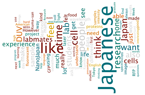 Lisa Chiba Wordle